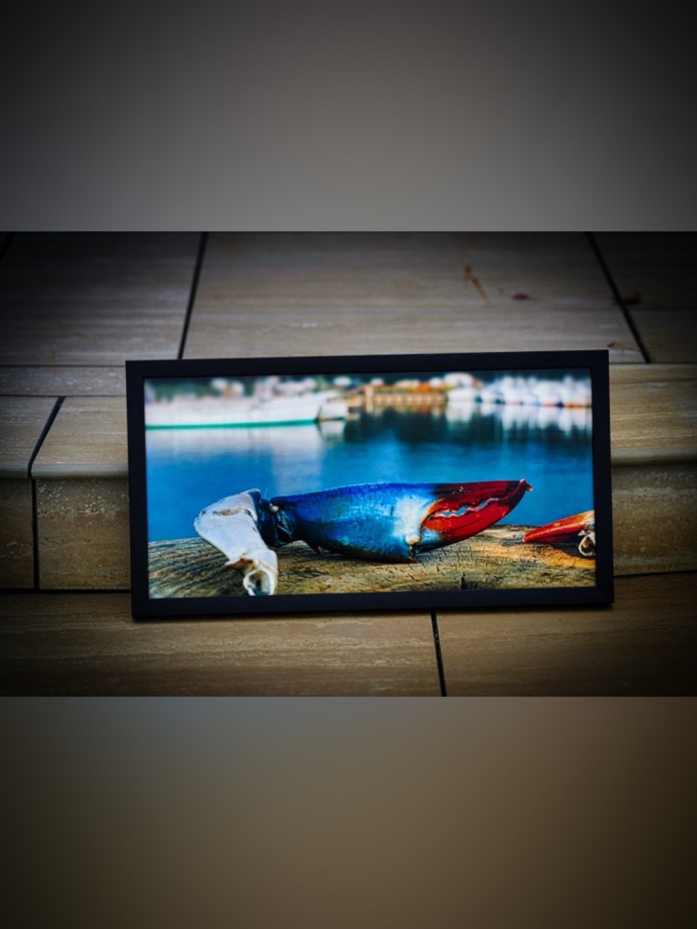 Framed Fine Art Photo "Blue Crab Claw at the Marina" by Clelia Jane Photography